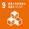 SDG9