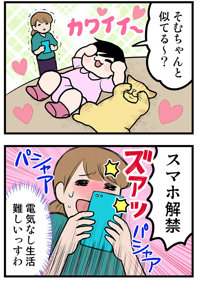 電気なしきくまきさん休日昼編03